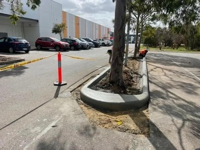 Concrete kerb formed around street tree