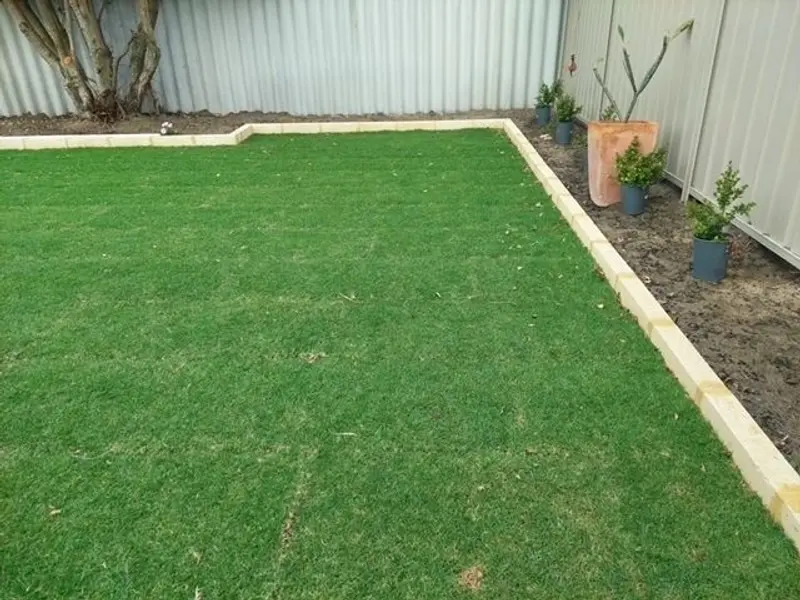 New green backyard lawn against fence