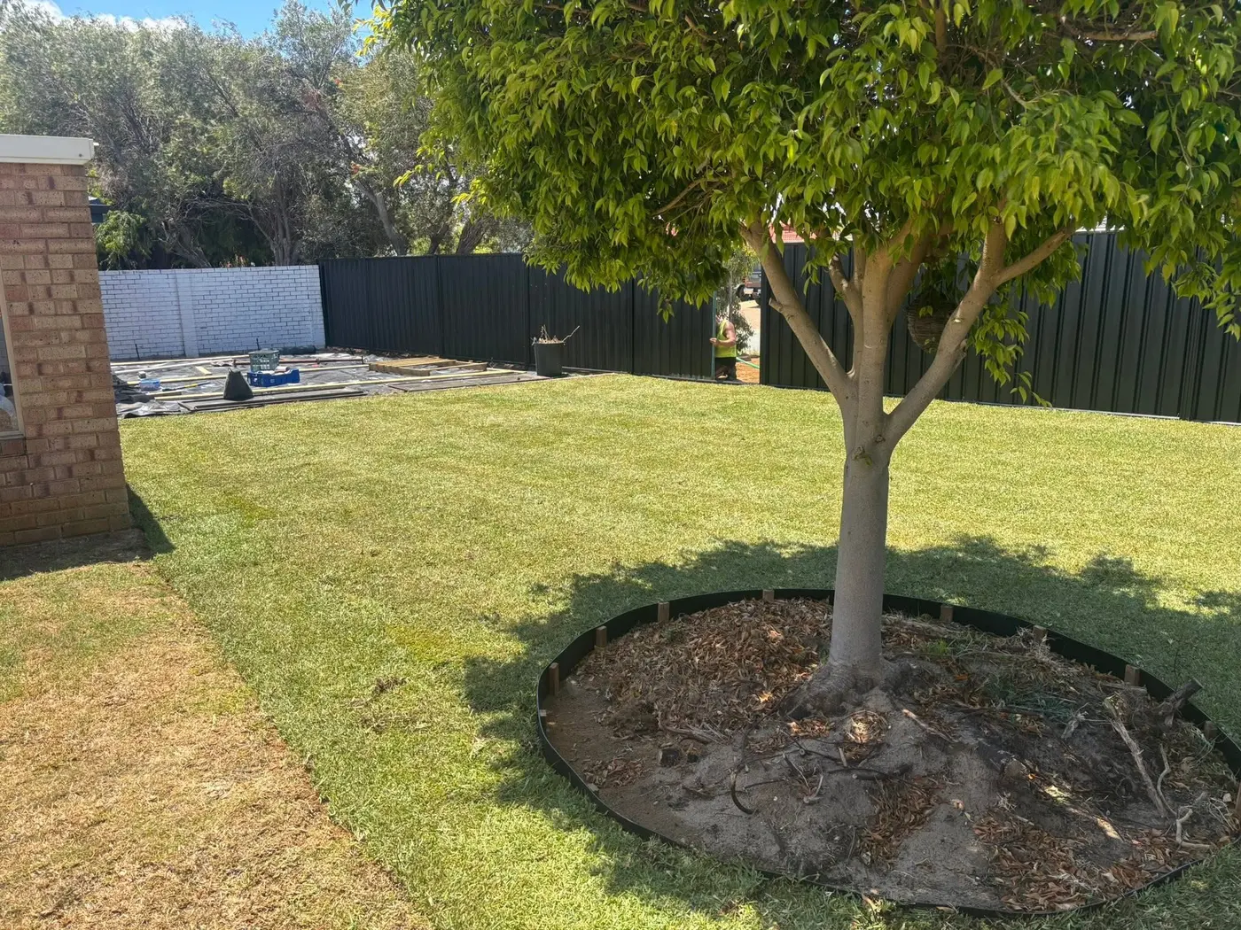 Established backyard lawn with neat garden edging